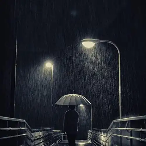 sarcasticsounds夜晚孤单之旅