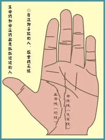手相图解看手相算命掌纹算命指纹算命男人女人手相