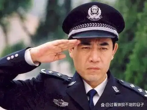 内地荧屏上的"警察"形象,谁留给你的印象最深刻?