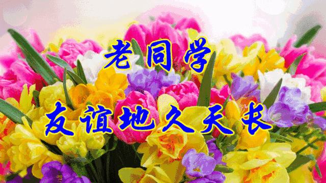 致我往昔的同学们感谢你们与我为伴的那年年月月致我亲爱的同学们愿