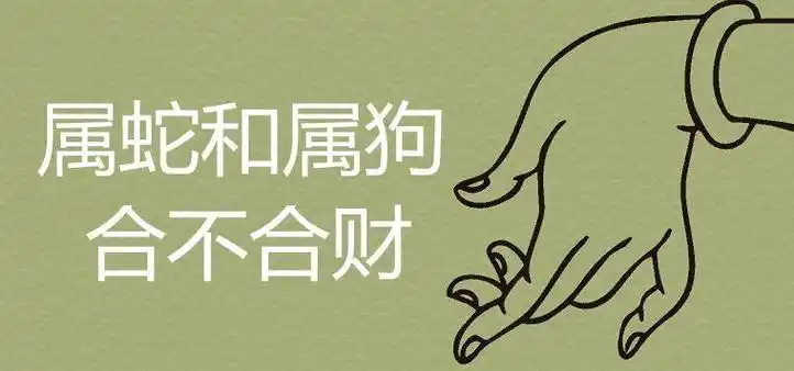 蛇狗属相相冲吗一起共事属兔的和什么属相不合,蛇狗属相相冲吗一起