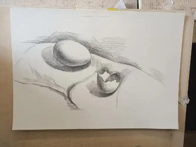素描基础鸡蛋