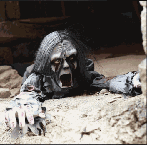 640_634gif 动态图 动图