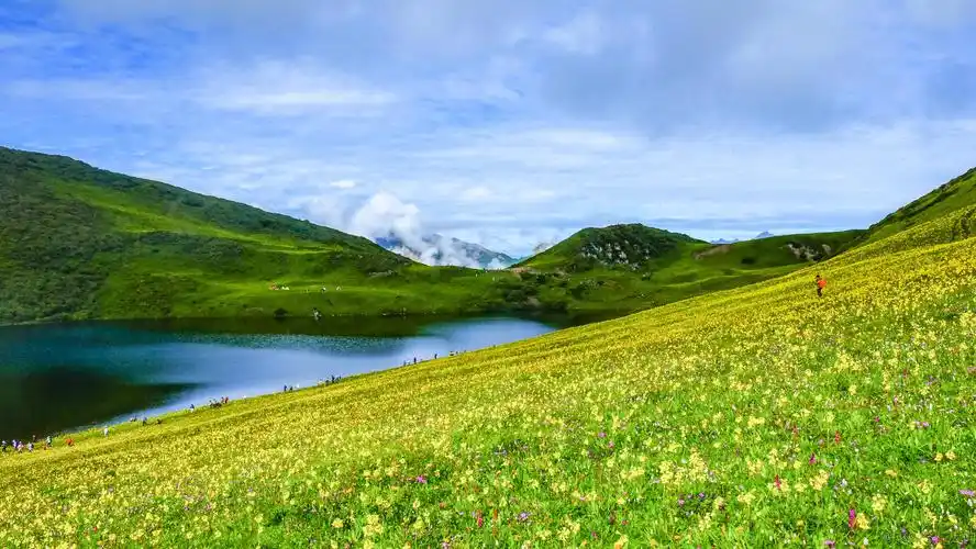 雪山环抱的高山草甸,茂县九顶山花海徒步露营攻略,四川旅游攻略-游