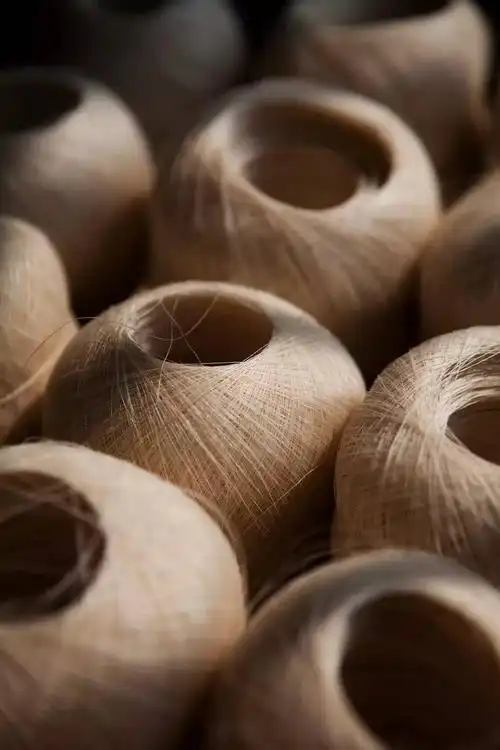 将苎麻砍下,去掉叶子,剥下茎皮,就可得到,淡青色的苎麻纤维了.