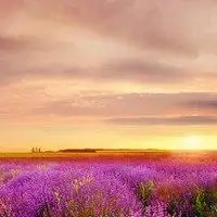 2020年美景图片头像微信点击鼠标右键下载