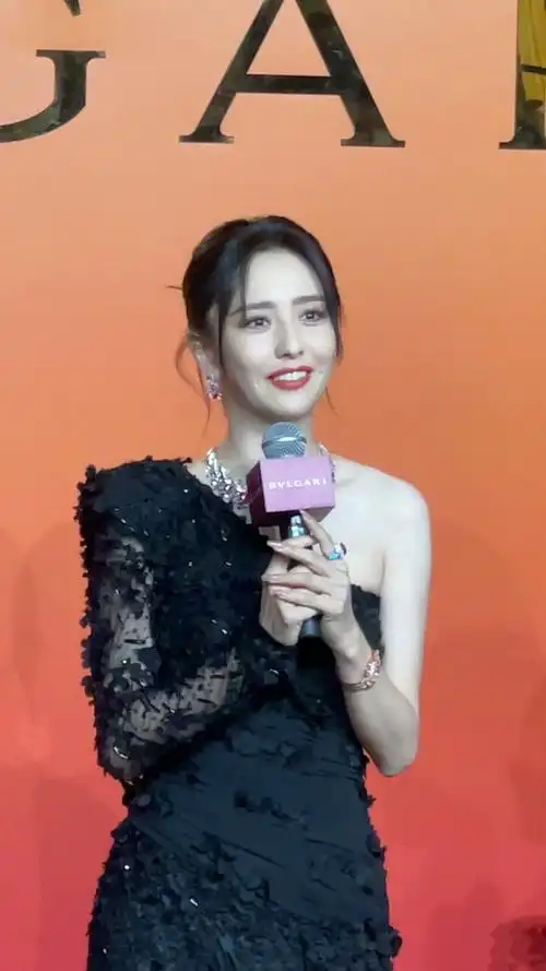 佟丽娅黑色晚礼服出席活动现场