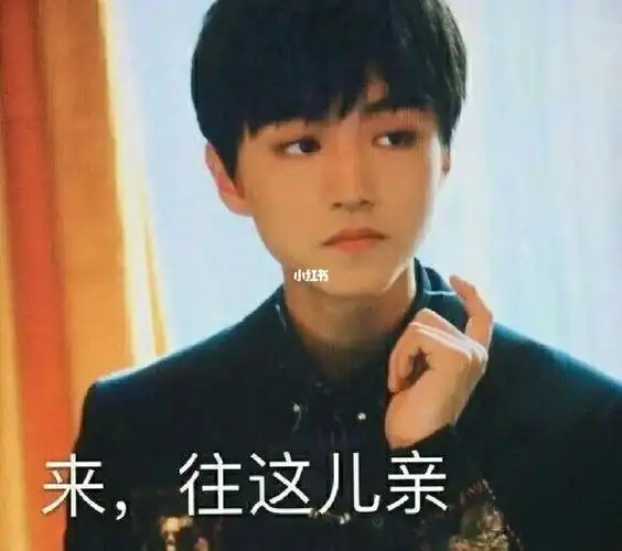 王俊凯表情包25