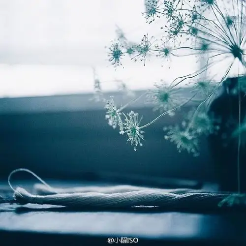 向往这种安静透明的生活.ins:m.photodays