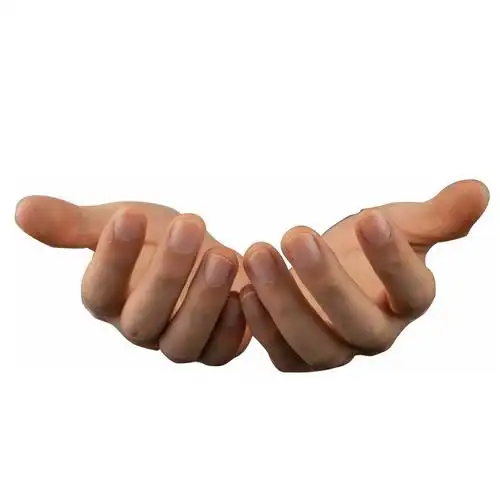 伸出的双手捧着的动作6486612png图片免抠素材