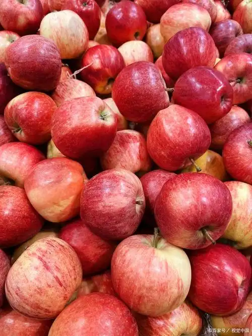 国光苹果:比富士还要好吃的水果,曾在我国风靡一时!