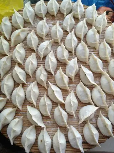 美味可口的饺子