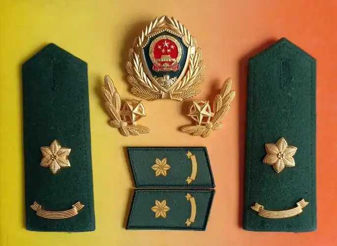 毛启国:武警07式警衔肩章图鉴