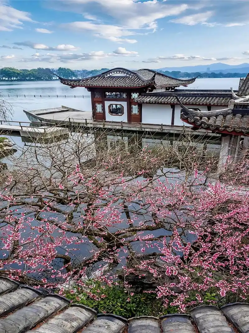 三月的西湖美景美如画,约上几个朋友去一趟杭州西湖吧.