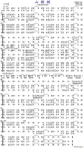 山楂树男声三重唱