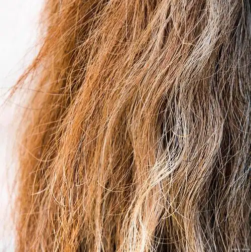 拥有一头亮丽健康的秀发是每个人的梦想,但如果你的发质偏油,那么头发