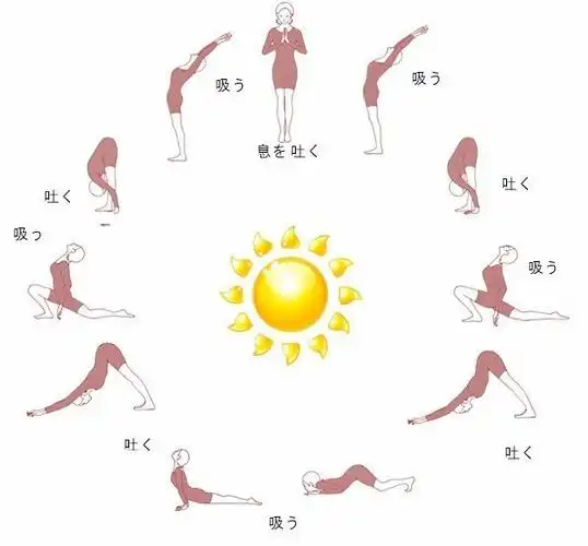 靠一招拜日式2个月狠甩15公斤_动作