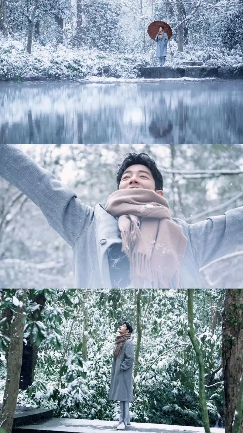 天时人事日相催,冬至阳生春又来 #肖战冬至竹林大片 #肖战  - 抖音