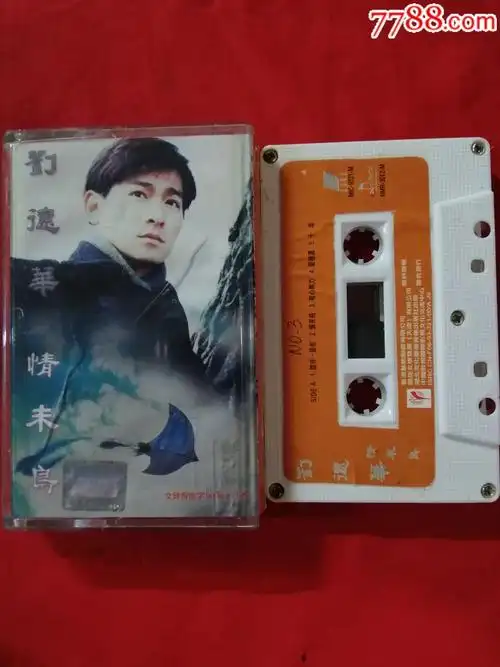 刘德华《情未鸟》