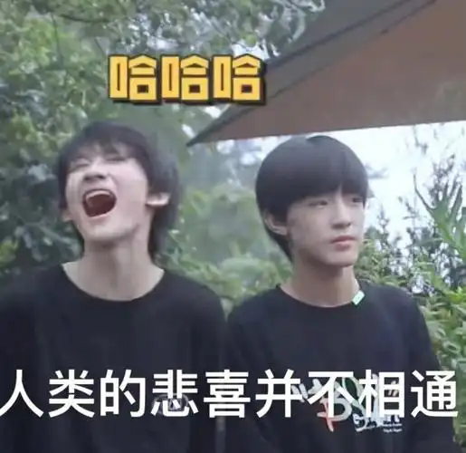 tf三代表情包不知道第几篇了