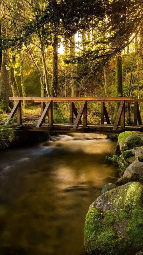 绝美风景图,每一张都如同画一般