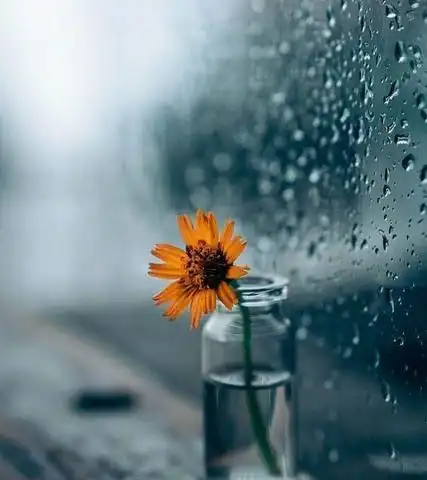 4.    形容雨天心情不好的诗句