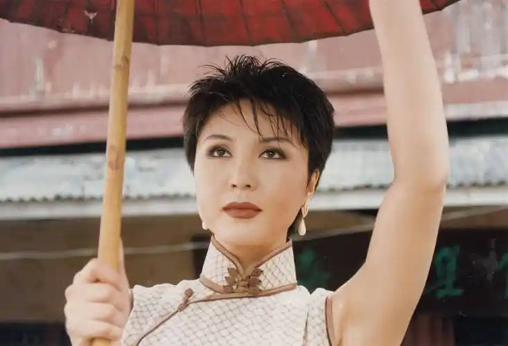 歌唱家林萍,痛失3位至亲,带着眼泪前行_电视_姐姐_演出