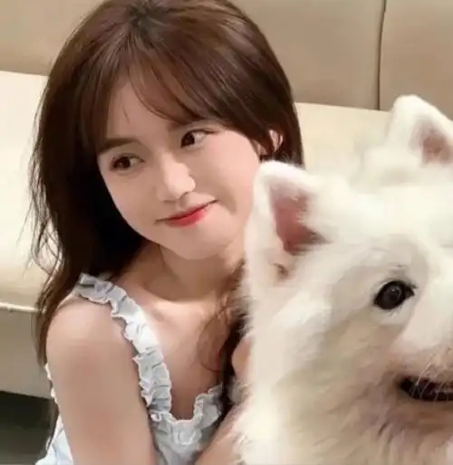 对象不是人系列情头