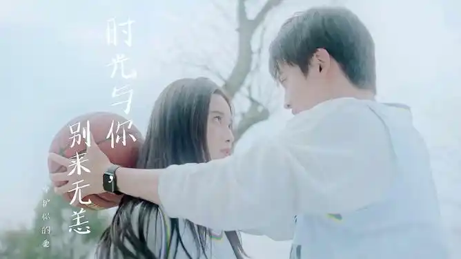 时光与你别来无恙:爱一个人,就该全力以赴,无悔这一生