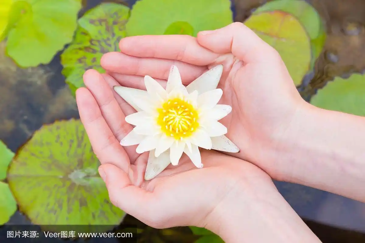 女人手里捧着莲花
