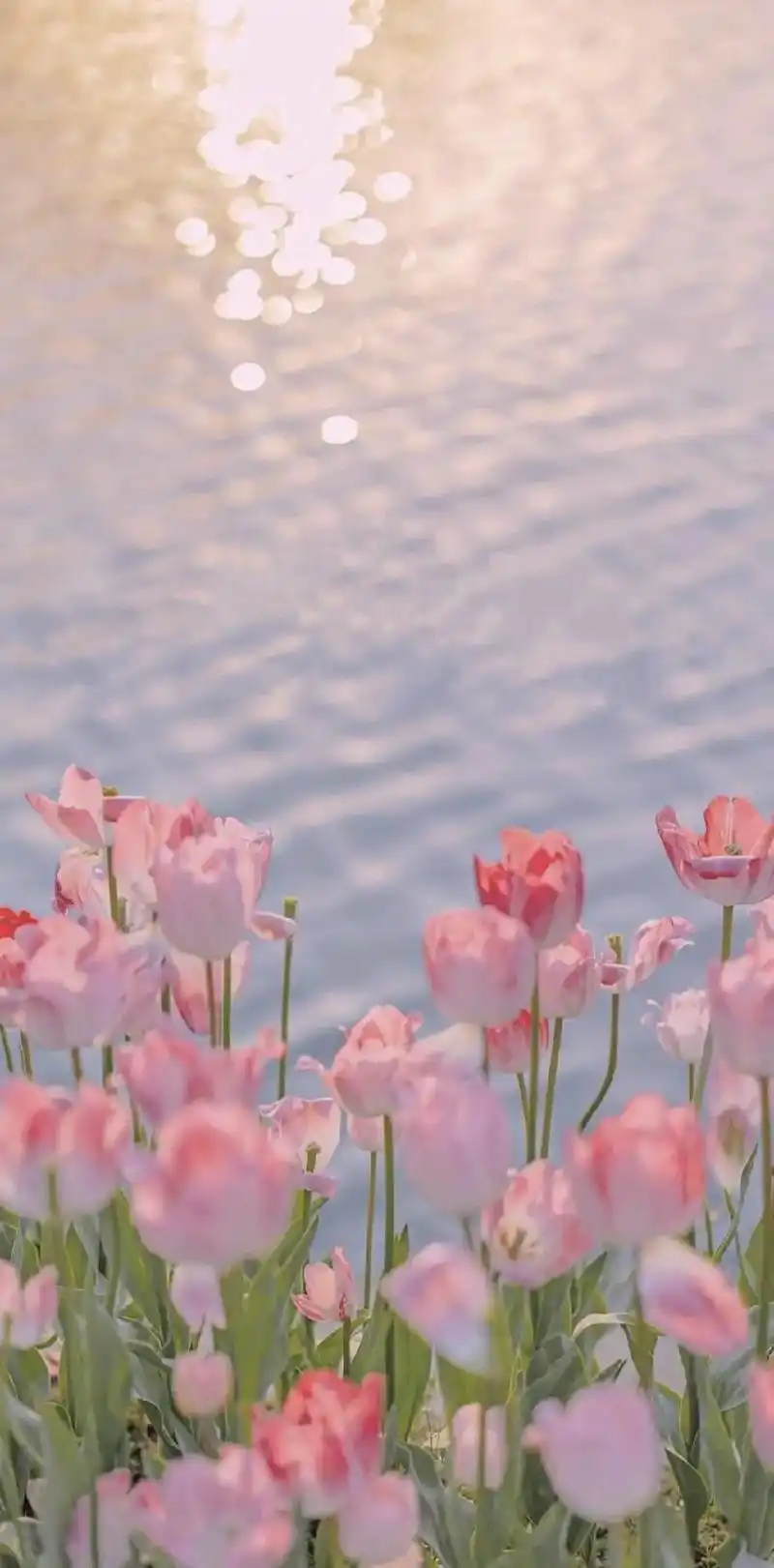 ins风高清壁纸 #ins高级质感壁纸 #高清壁纸 #手机 - 抖音