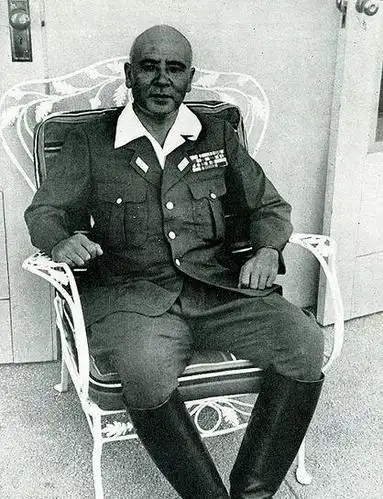 日本战犯妻子恳求盟军手下留情,免除绞刑,麦克阿瑟直说了一句话