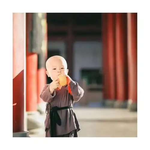 家有星探父母真幸福一组超萌小和尚图片记录孩子成长足迹