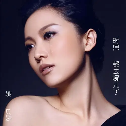 时间都去哪儿了_姚贝娜_高音质在线试听_时间都去哪儿了歌词|歌曲下载