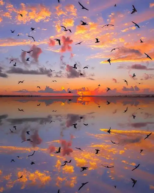 海边落日._高清图集_新浪网