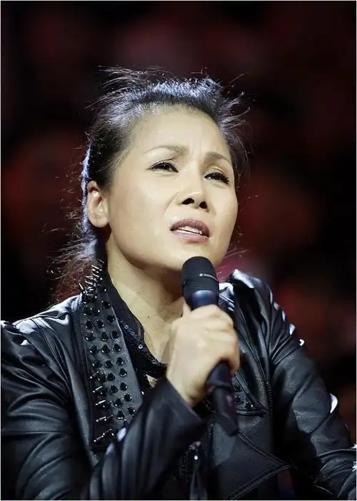 颁奖礼上掀翻风云田震摔话筒与那英撕破脸现状引热议