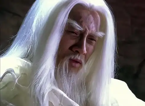 在《天龙八部》原著之中,只有两个人修炼过北冥神功,一个是无崖子