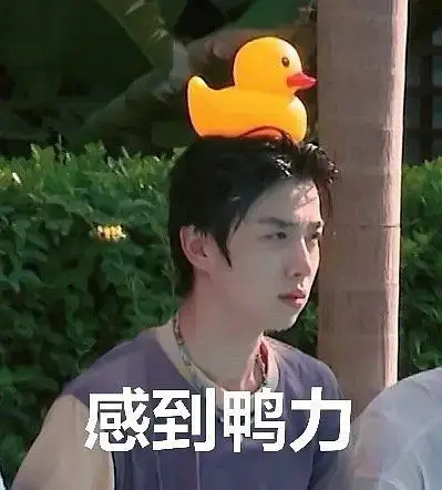 张嘉元是满18了对吧?今天晚上.