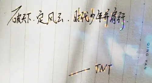 手写应援口号 tnt时代少年团.