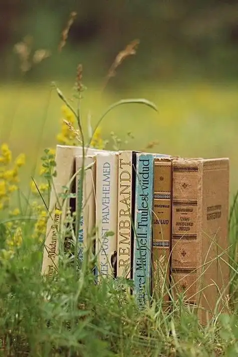 充满文艺感的配图唯美图片素材 小清新的朋友圈背景图