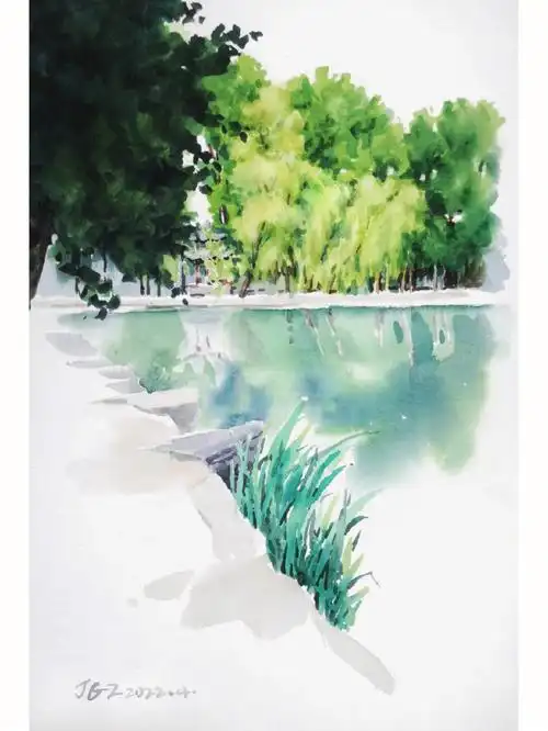 水彩画树丛怎样分组