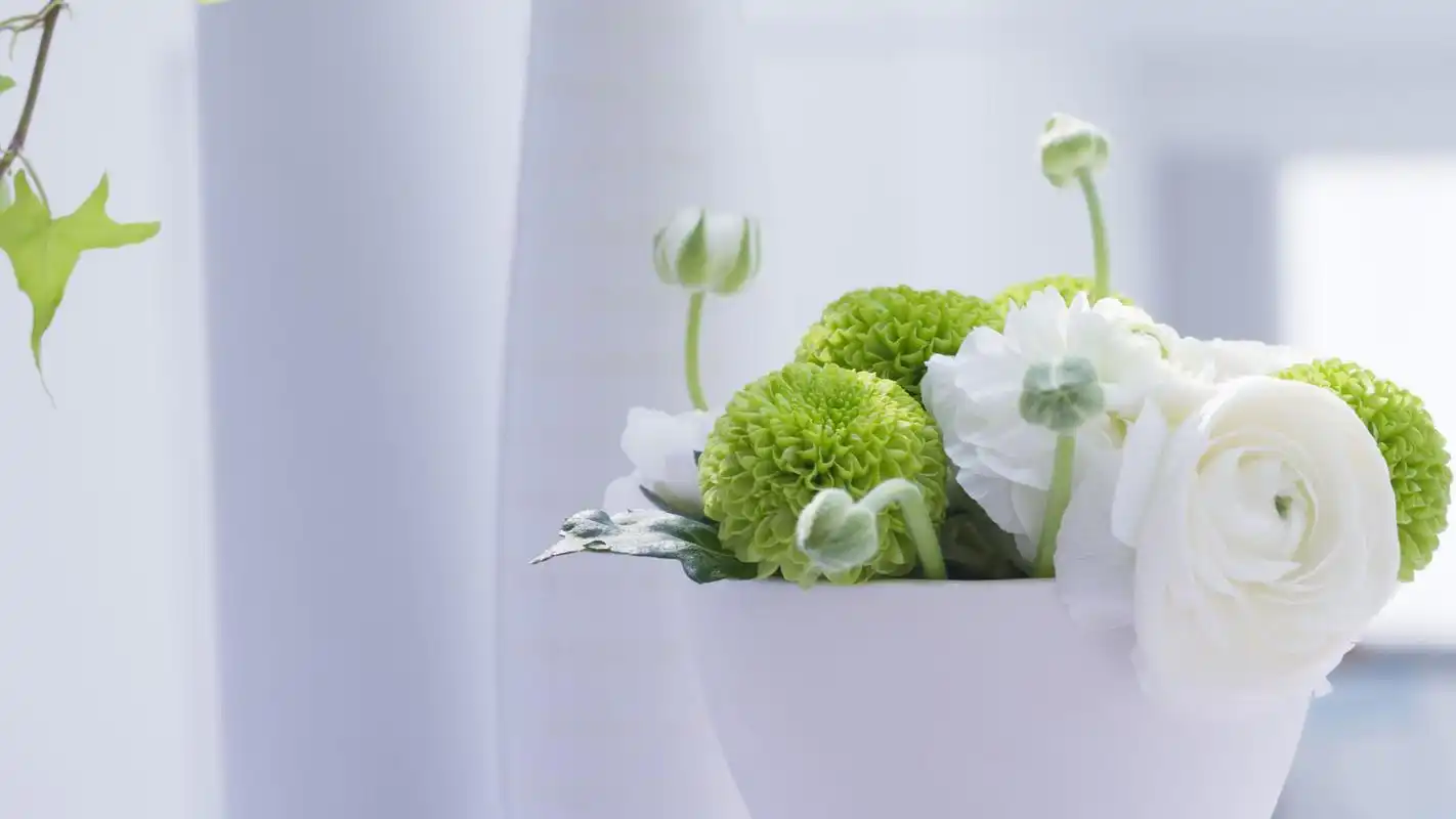 精选简约风格清新的盆栽植物电脑桌面壁纸-家居壁纸-壁纸下载-美桌网