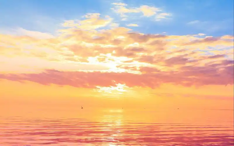 进门鞋柜摆什么可以旺财