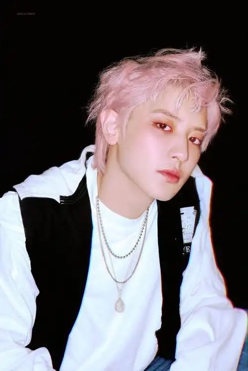 exo 朴灿烈 cr:logo