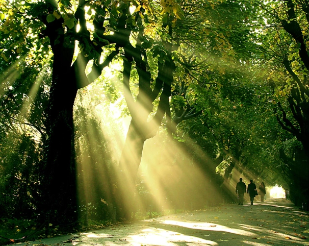 美图:大自然安静的时候,会给你一种静心的感觉