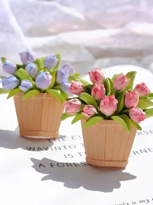 蓝紫渐变的郁金香好爱紫色花苞泛着淡淡蓝