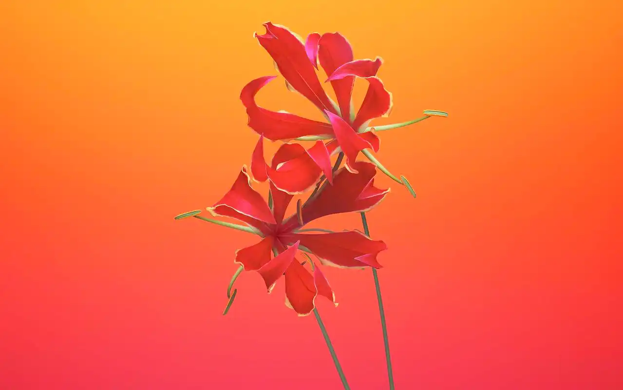 苹果ios11官方系统最新主题桌面壁纸图片