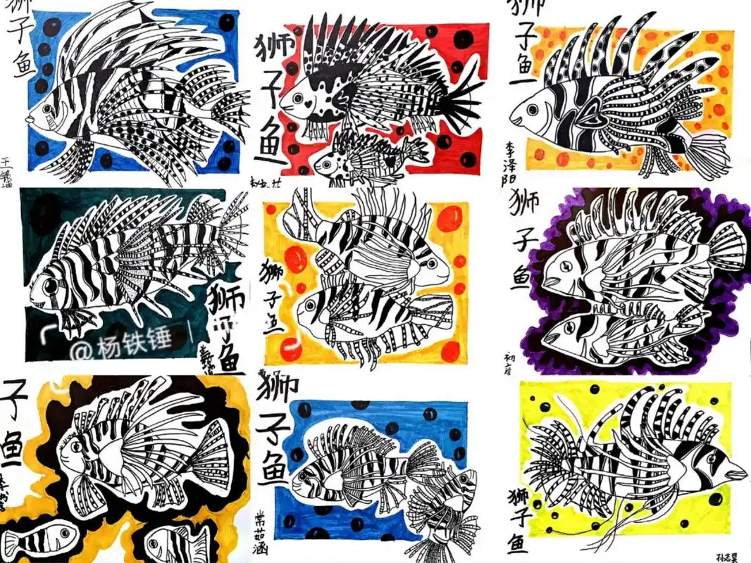 线描 课程 美丽的狮子鱼 线描  线描基础  写生课程 美丽的狮子鱼