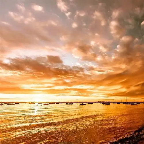 阳光下的唯美景色图片