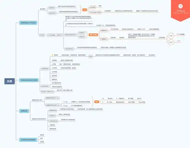 医学免疫学思维导图